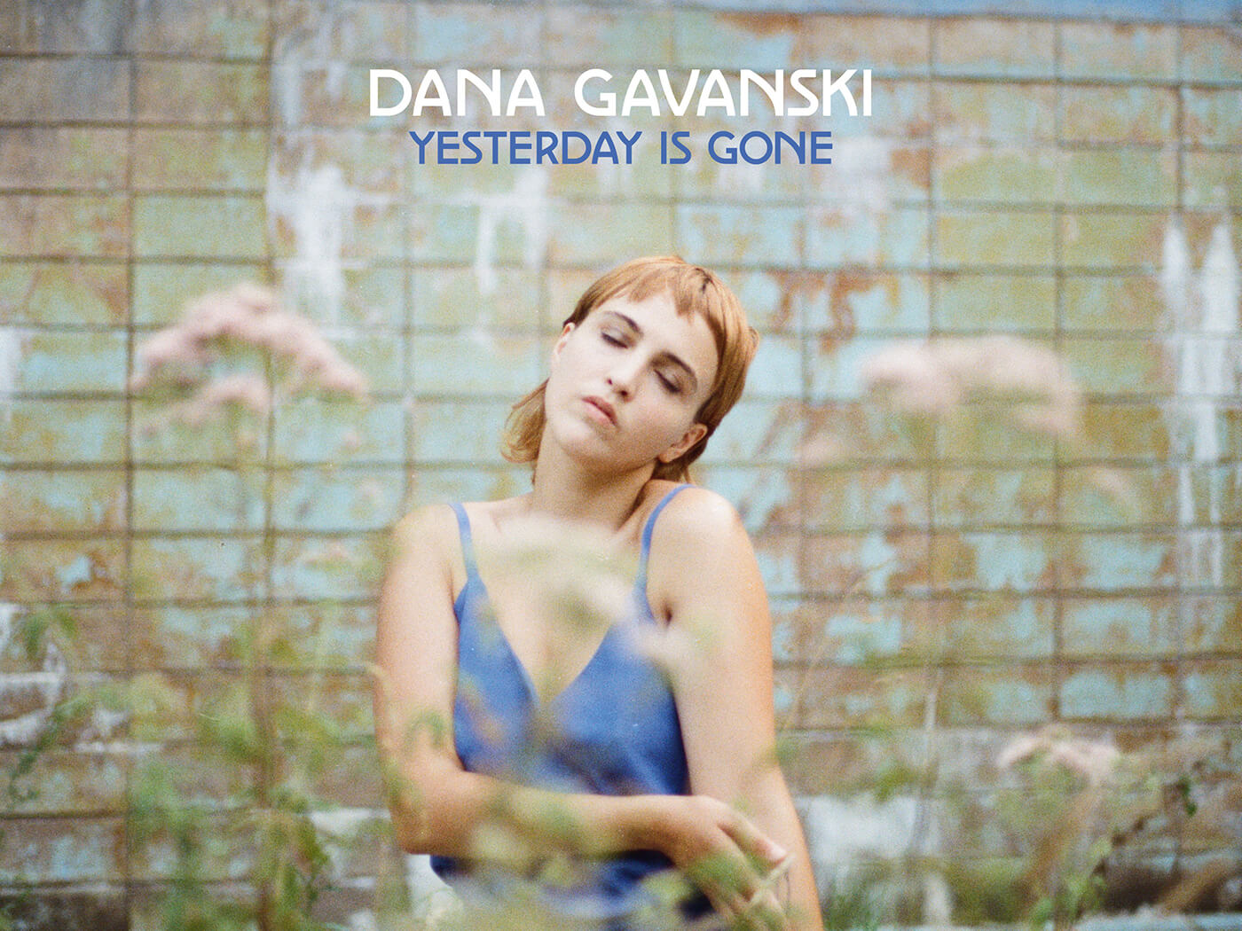 Dana Gavanski（昨天走了Digi Cover）