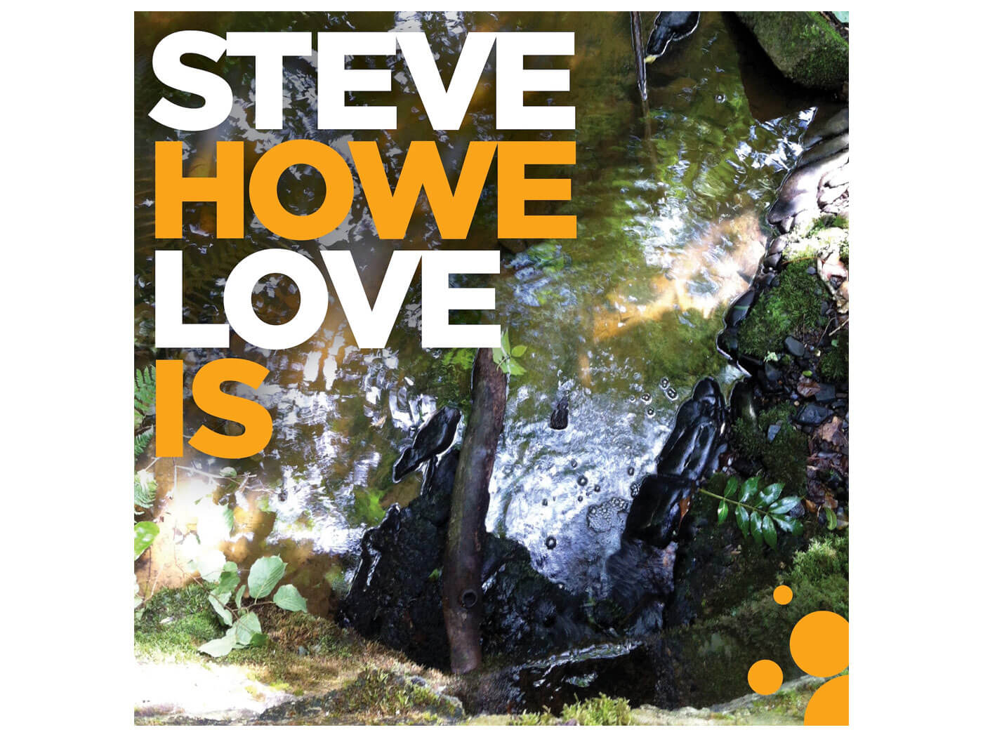 史蒂夫·豪的《爱是什么》