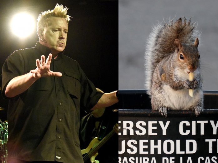 John Lydon和一只松鼠