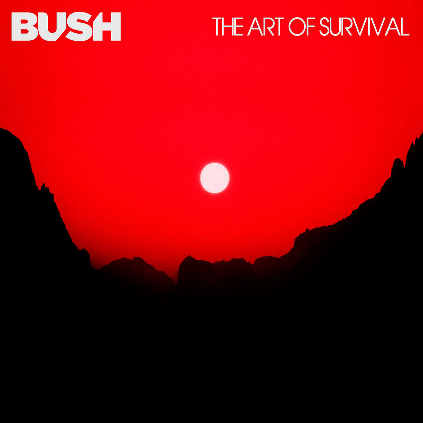 布什 - 生存艺术