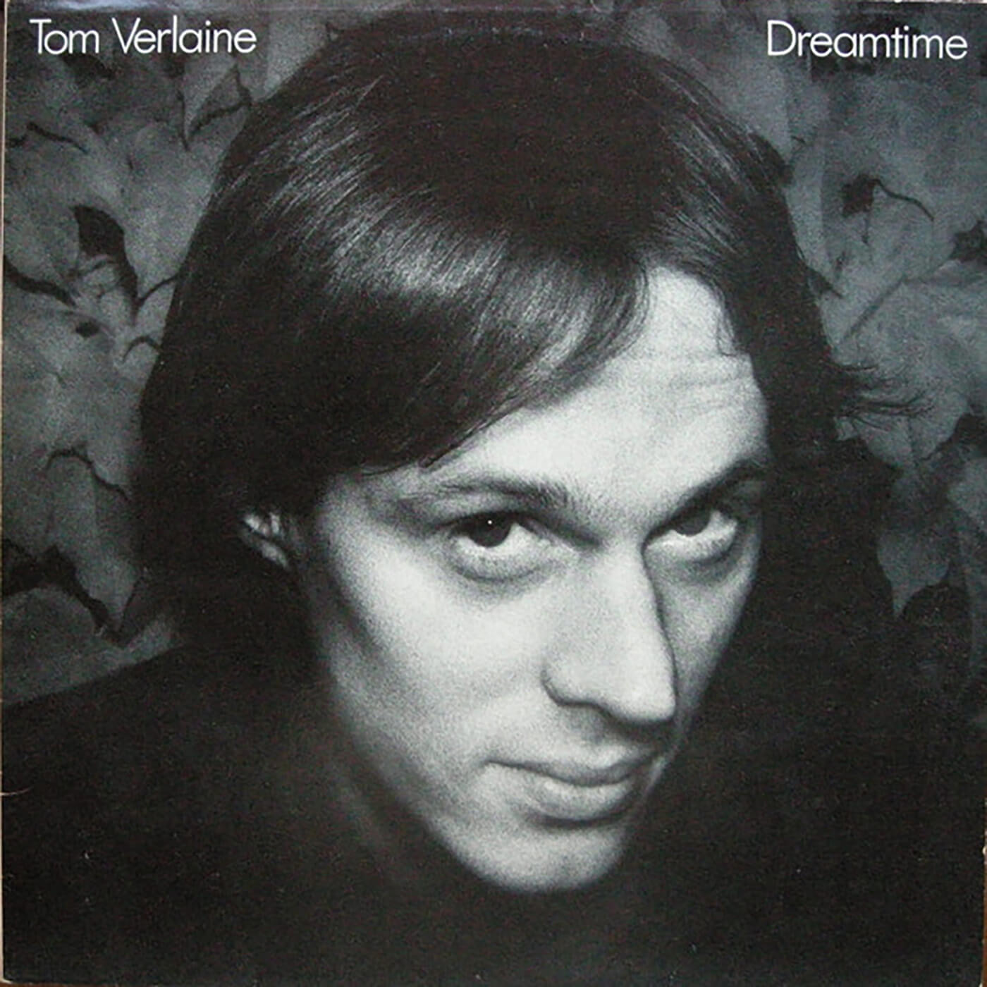 汤姆·韦拉恩（Tom Verlaine） - 梦想时间